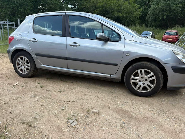 2002 peugeot 307 - afbeelding 9 van  15