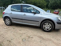 2002 peugeot 307 - afbeelding 9 van  15