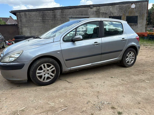 2002 peugeot 307 - afbeelding 11 van  15