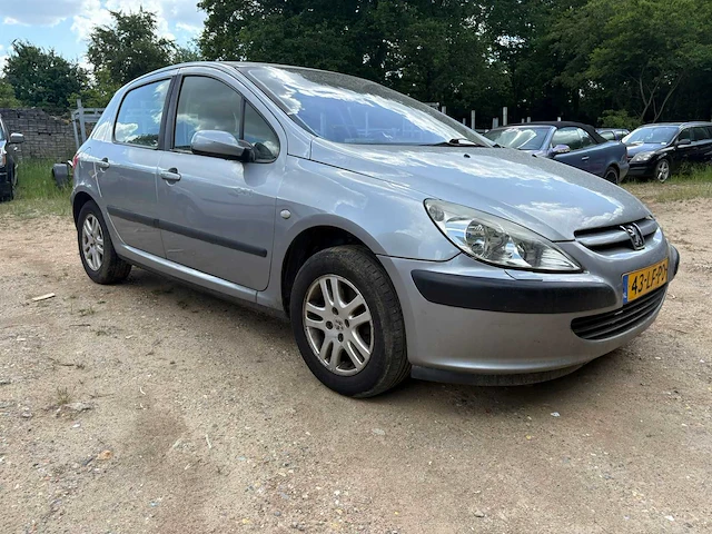2002 peugeot 307 - afbeelding 12 van  15
