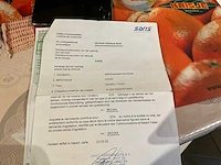 2002 saris aanhangwagen - afbeelding 11 van  20