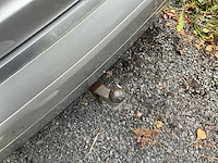 2003 audi a2 - afbeelding 3 van  34