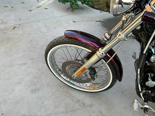2003 harley-davidson xl 1200 custom motorfiets - afbeelding 5 van  15
