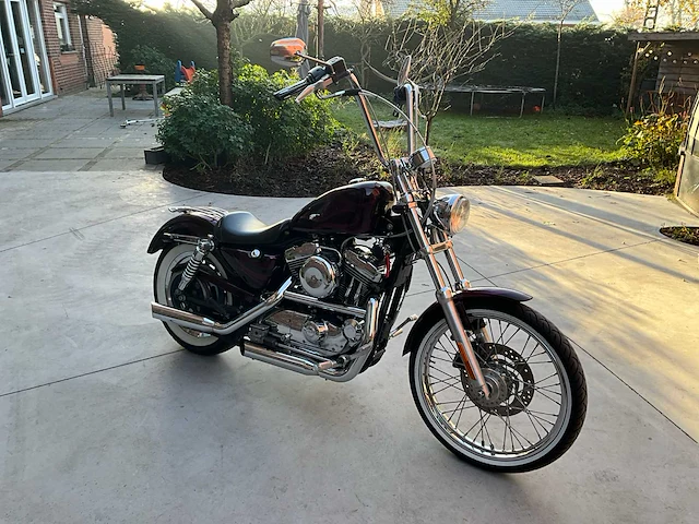 2003 harley-davidson xl 1200 custom motorfiets - afbeelding 11 van  15