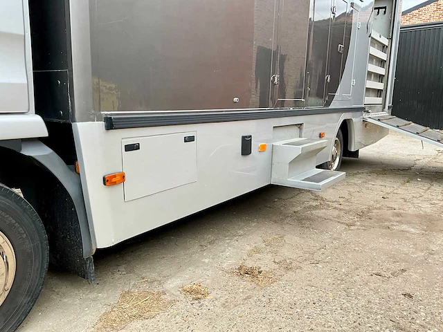 2006 man tgl paarden vrachtwagen - afbeelding 3 van  51