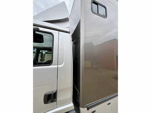 2006 man tgl paarden vrachtwagen - afbeelding 4 van  51