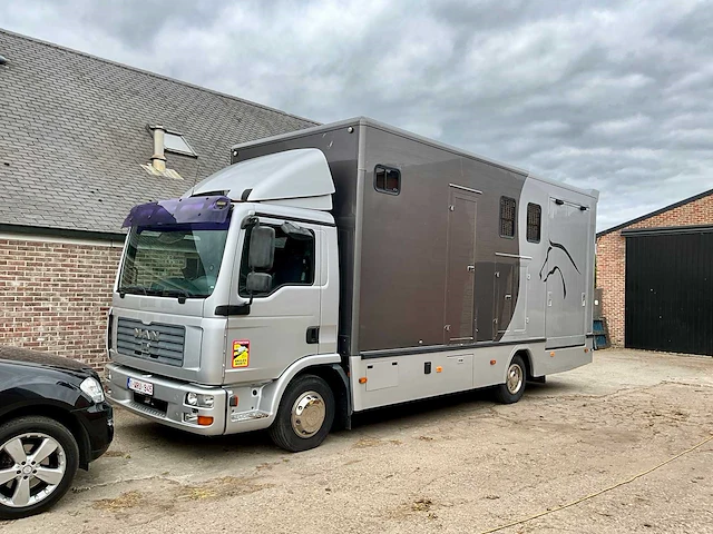 2006 man tgl paarden vrachtwagen - afbeelding 1 van  51