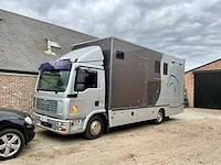 2006 man tgl paarden vrachtwagen - afbeelding 1 van  51