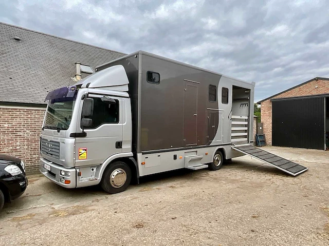2006 man tgl paarden vrachtwagen - afbeelding 34 van  51