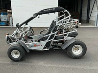 2006 pgo bugrider br-260 buggy - afbeelding 17 van  22