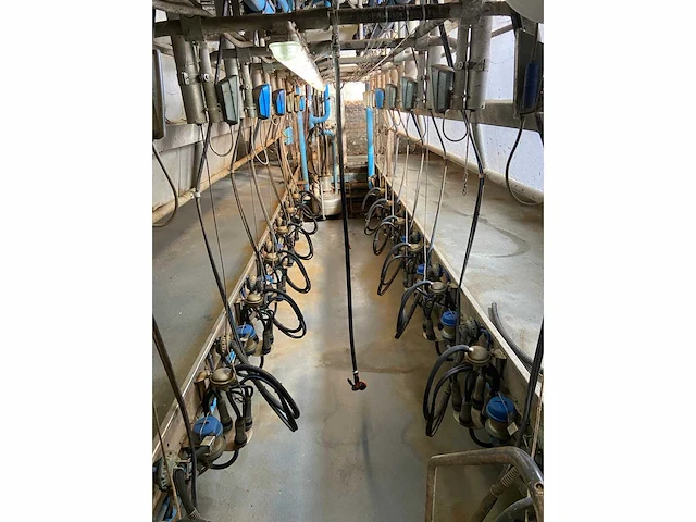 2008 afimilk zuivel machine - afbeelding 6 van  6