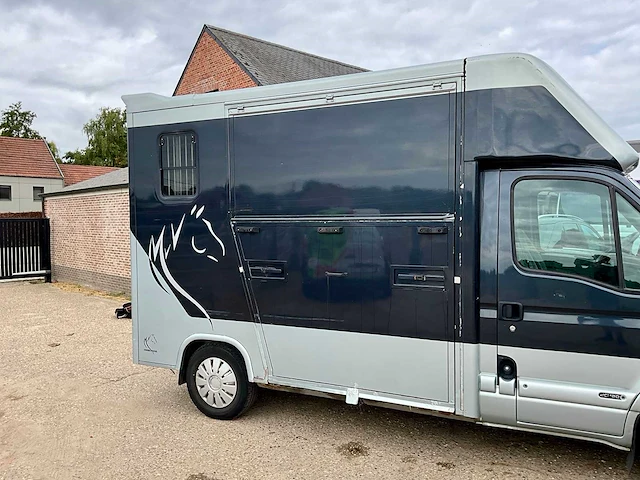 2008 renault master paardencamionette - afbeelding 4 van  40