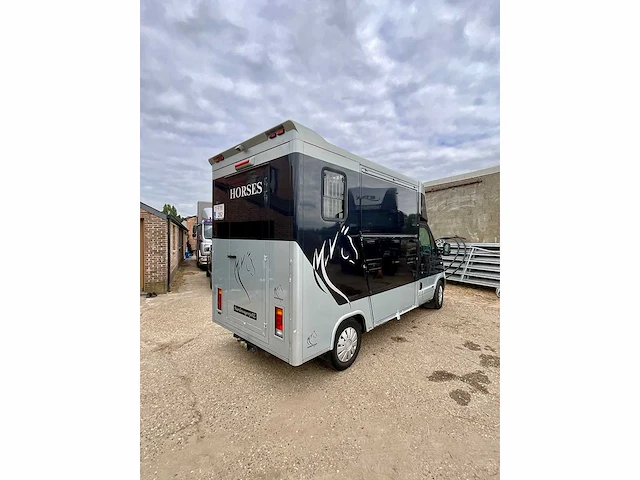 2008 renault master paardencamionette - afbeelding 5 van  40