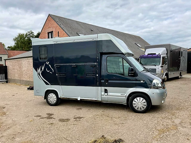 2008 renault master paardencamionette - afbeelding 12 van  40