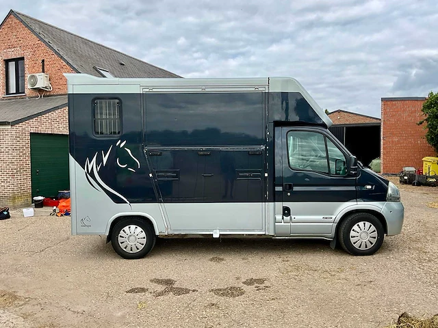 2008 renault master paardencamionette - afbeelding 23 van  40