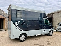 2008 renault master paardencamionette - afbeelding 34 van  40