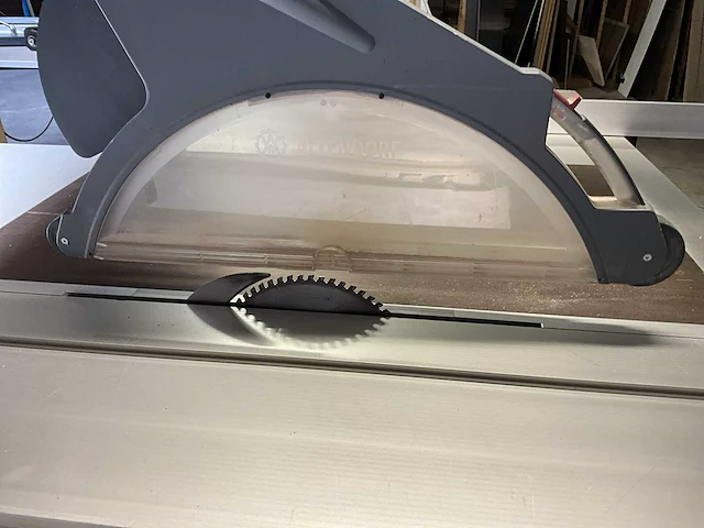 2009 altendorf f45 formaatcirkelzaagmachine - afbeelding 6 van  17