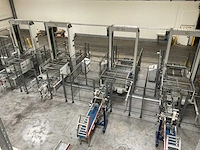 2009 sorma pal 108d palletiseerinstallatie - afbeelding 5 van  12