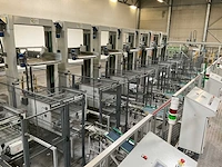 2009 sorma pal 108d palletiseerinstallatie - afbeelding 2 van  22