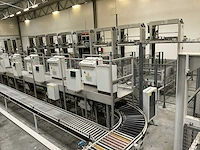 2009 sorma pal 108d palletiseerinstallatie