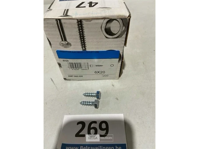 200x houtdraadbout 6x20 - afbeelding 1 van  3
