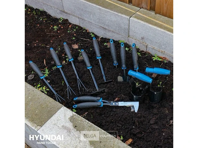 200x hyundai tuingereedschap - afbeelding 2 van  2