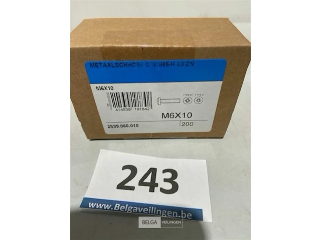 200x metaalschroef m6x10 - afbeelding 1 van  3
