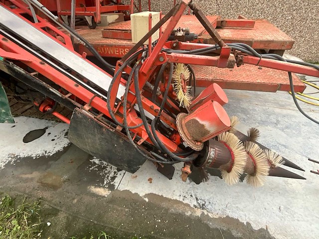 2012 lauwers preirooier - afbeelding 2 van  29