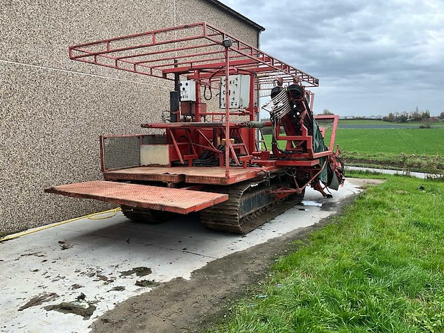 2012 lauwers preirooier - afbeelding 1 van  29