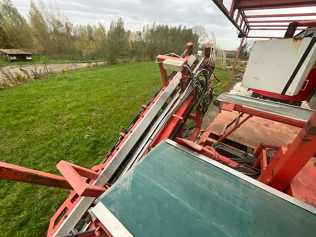 2012 lauwers preirooier - afbeelding 17 van  29