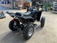 2013 adly atv-50rs atb quad - afbeelding 6 van  13