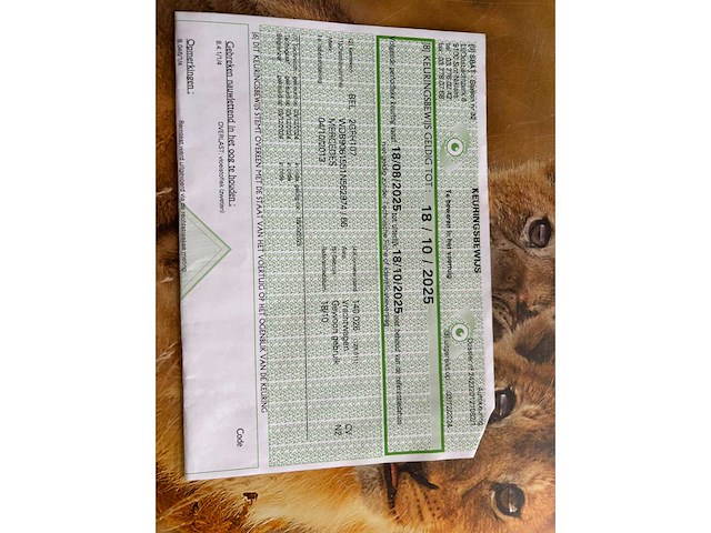 2013 mercedes-benz sprinter cdi - afbeelding 50 van  54