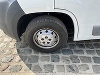 2013 theault f3si first paardenvervoer - afbeelding 2 van  31