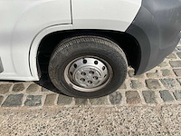 2013 theault f3si first paardenvervoer - afbeelding 5 van  31