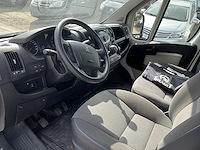 2013 theault f3si first paardenvervoer - afbeelding 8 van  31