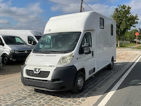 2013 theault f3si first paardenvervoer - afbeelding 1 van  31