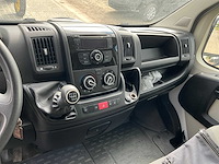 2013 theault f3si first paardenvervoer - afbeelding 14 van  31