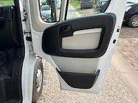 2013 theault f3si first paardenvervoer - afbeelding 19 van  31