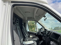 2013 theault f3si first paardenvervoer - afbeelding 22 van  31