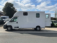 2013 theault f3si first paardenvervoer - afbeelding 12 van  31