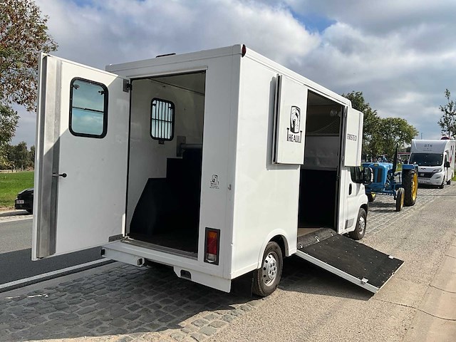 2013 theault f3si first paardenvervoer - afbeelding 26 van  31