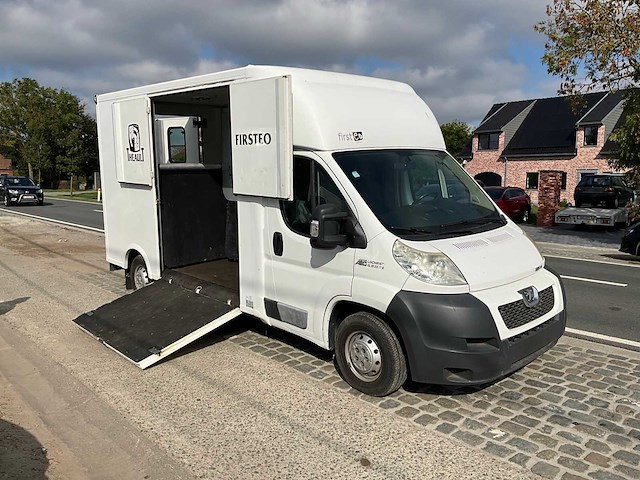 2013 theault f3si first paardenvervoer - afbeelding 27 van  31