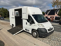 2013 theault f3si first paardenvervoer - afbeelding 27 van  31