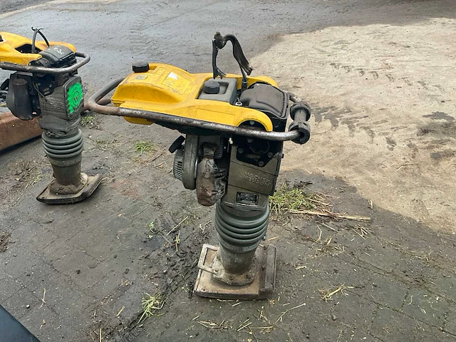2014 wacker neuson dammer bs60-21 trilstamper - afbeelding 3 van  10