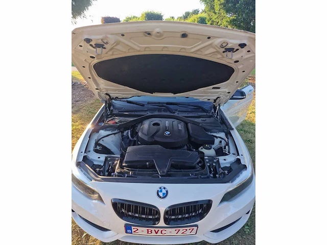 2016 bmw 218i - afbeelding 7 van  31