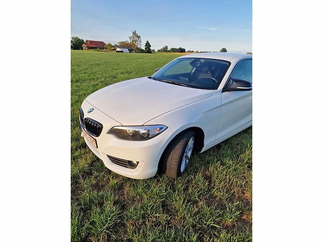 2016 bmw 218i - afbeelding 13 van  31