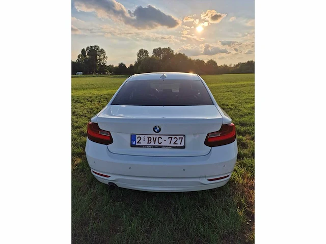 2016 bmw 218i - afbeelding 18 van  31