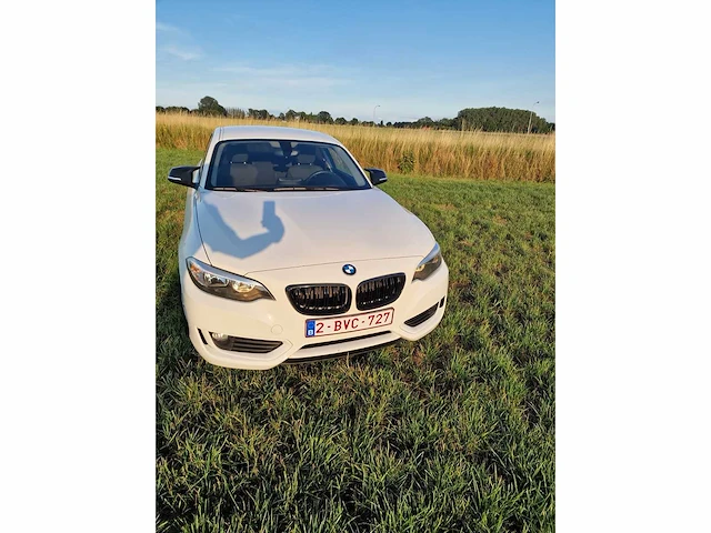 2016 bmw 218i - afbeelding 21 van  31