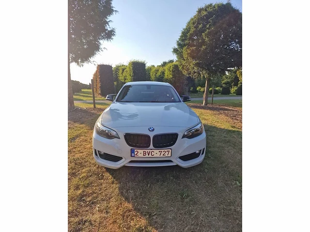2016 bmw 218i - afbeelding 23 van  31