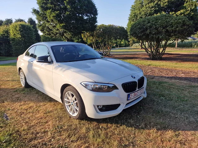 2016 bmw 218i - afbeelding 28 van  31